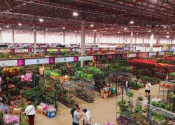Ceaflor faz 1ª Expo Garden com entrada grátis de 17 a 19 de outubro