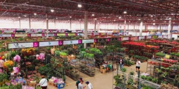 Ceaflor faz 1ª Expo Garden com entrada grátis de 17 a 19 de outubro