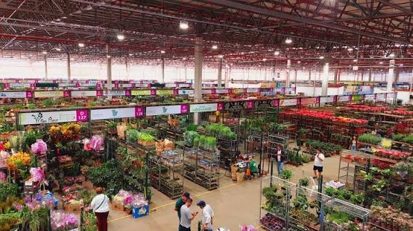 Ceaflor faz 1ª Expo Garden com entrada grátis de 17 a 19 de outubro