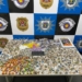 Polícia apreende mais de 750 porções de drogas no Jardim do Lago II em Campinas
