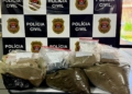 Polícia Civil encontra fábrica de drogas e prende três em Campinas