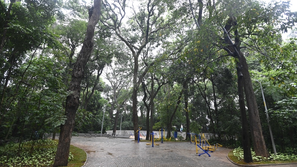 Chuva fecha parques da região Norte de Campinas nesta terça