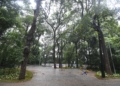 Chuva fecha parques da região Norte de Campinas nesta terça