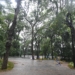 Chuva fecha parques da região Norte de Campinas nesta terça