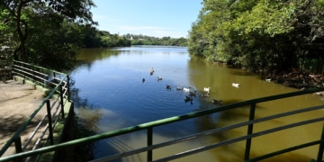 Prefeitura abre todos os parques e bosques de Campinas nesta quarta, 14