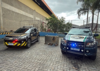 Receita Federal apreende cerca de 100 quilos de cocaína em Viracopos